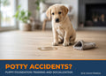 Puppy beside a potty accident on the floor - Puppy Foundation Training
